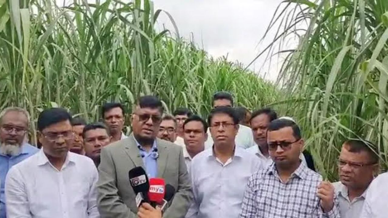 বন্ধ থাকা সব চিনিকল চালুর ঘোষণা বিএসএফআইসি চেয়ারম্যানের