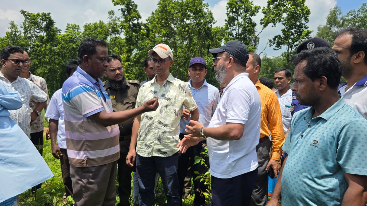 সখিপুরে বন বিভাগের কার্যক্রমে প্রতিমন্ত্রীর অসন্তোষ