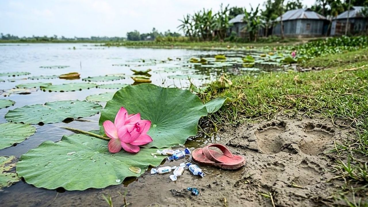 পদ্মফুলের প্রলোভনে ৬ বছরের শিশুকে ‘ধর্ষণ’, অভিযুক্ত পলাতক