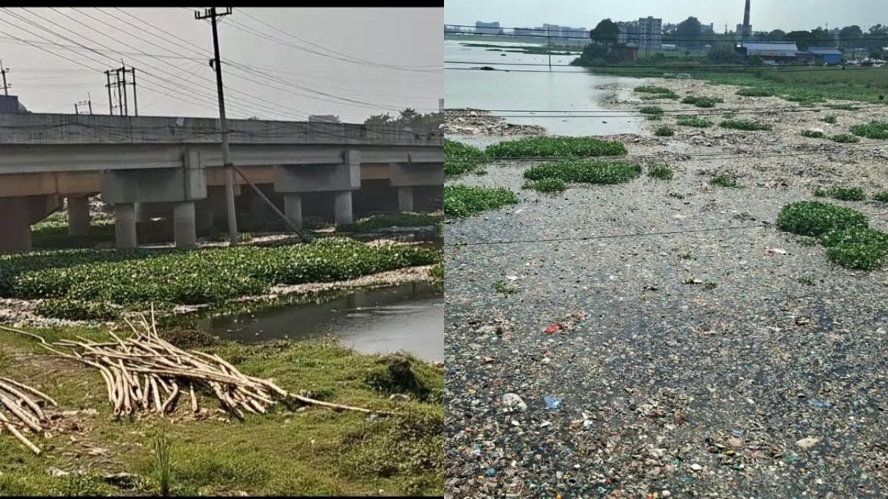 গাসিকের বর্জ্যে বিপন্ন তুরাগ নদ