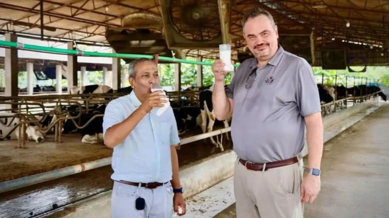 গরুর দুধ খেয়ে তিস্তা ব্যারেজে মার্কিন রাষ্ট্রদূত