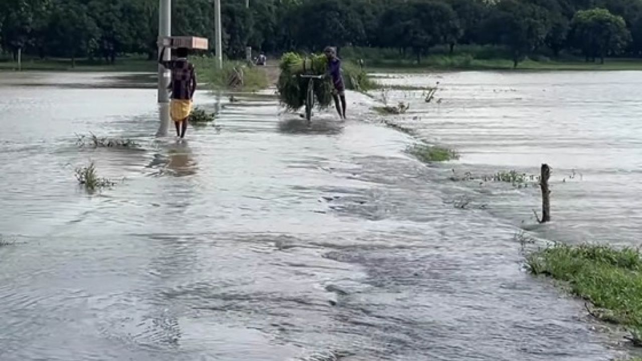 পদ্মার চরে বন্যার আতঙ্ক, প্লাবিত হচ্ছেন গ্রামীণ সড়ক
