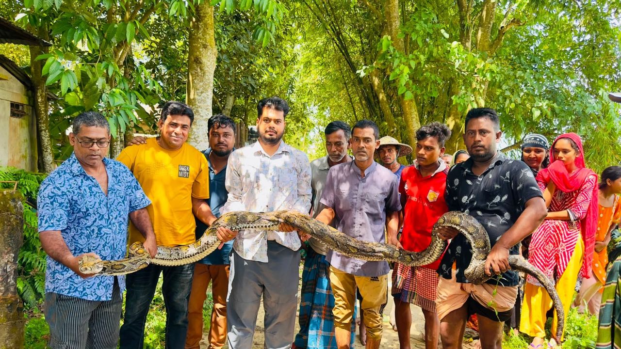 আবাসস্থল সংকটে বাড়ছে লোকালয়ে বন্যপ্রাণীর উপদ্রব