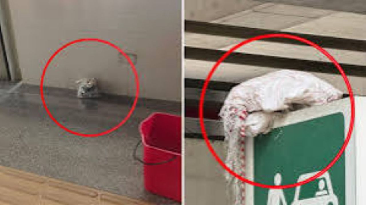 মেট্রোরেলে ব্যাগ আতঙ্ক, বন্ধ দুই স্টেশন