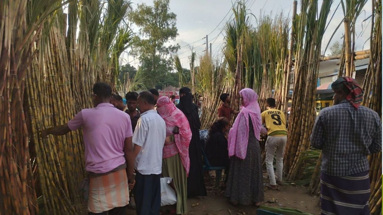 কৃষকের মাঠে নতুন চমক ‘ফিলিপাইনি জাত’