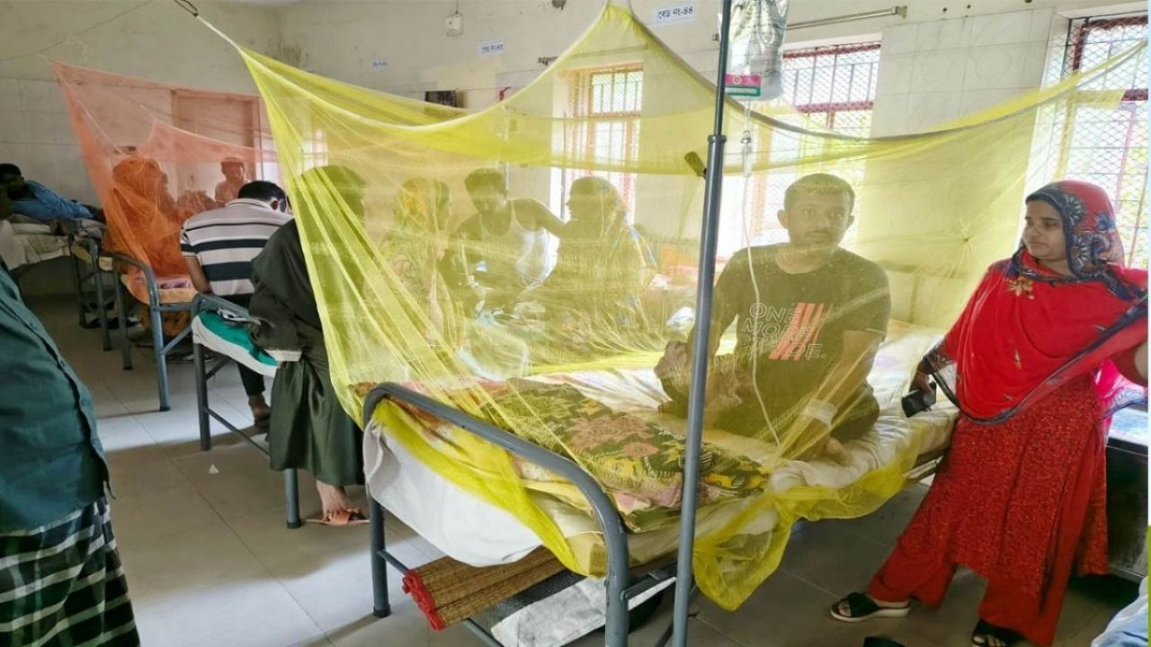 শেরপুরে ডেঙ্গু হানা : ঘরে ঘরে আতঙ্ক