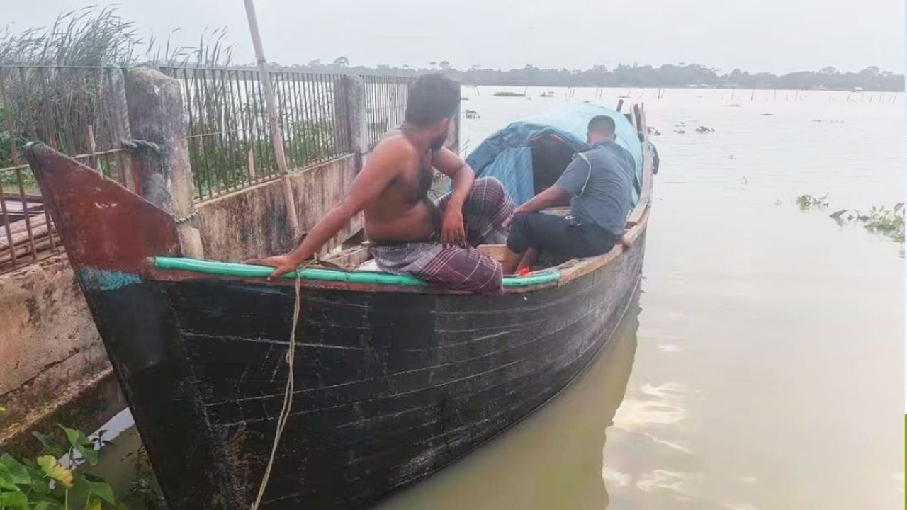 লাভের নেশায় ধ্বংস হচ্ছে সুন্দরবনের হরিণ