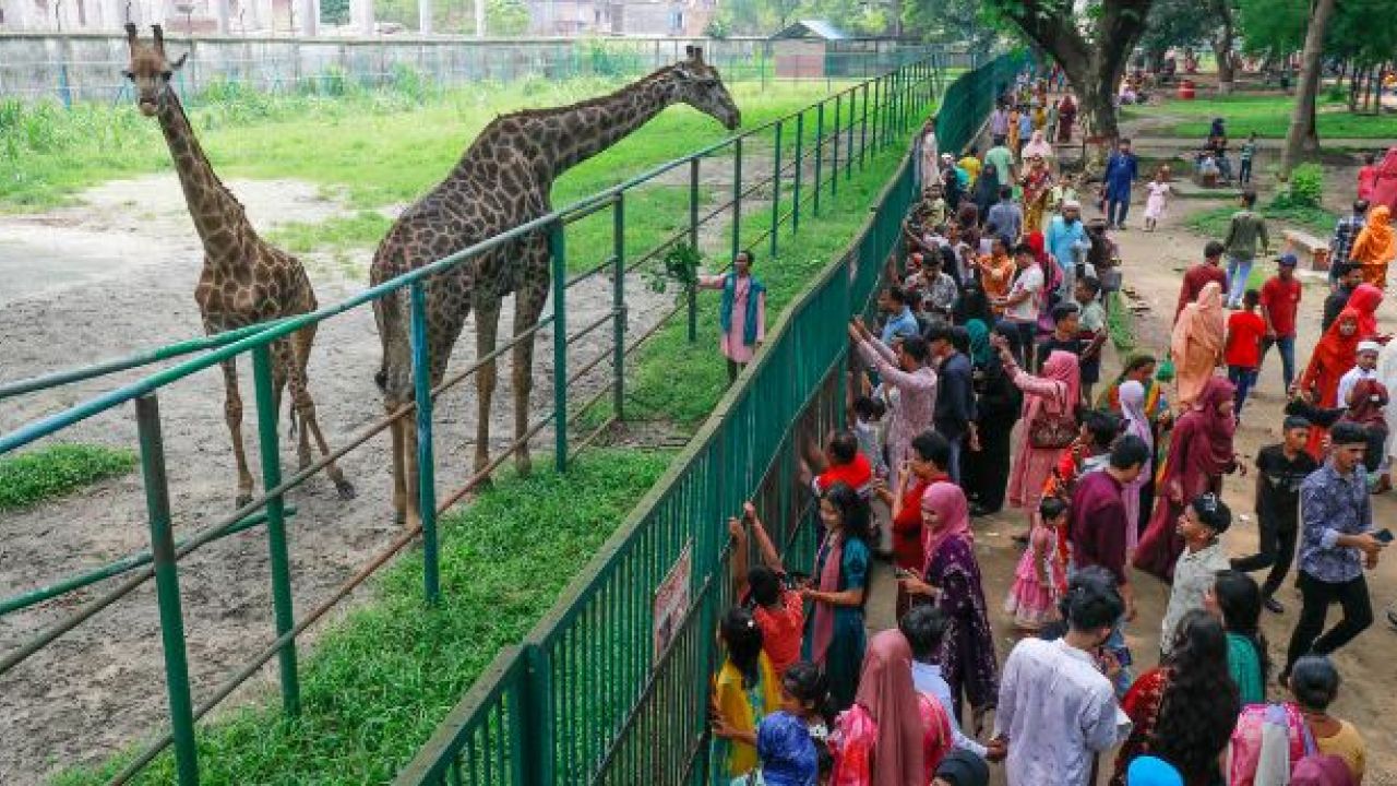পরিবেশ রক্ষায় চিড়িয়াখানায় প্রবেশে ‘অভিনব’ উদ্যোগ 