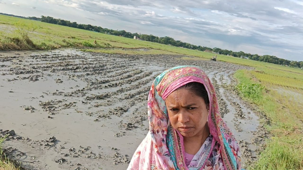 বোনের ‘কাঁচা ধানে মই’ দিলেন আপন ভাই