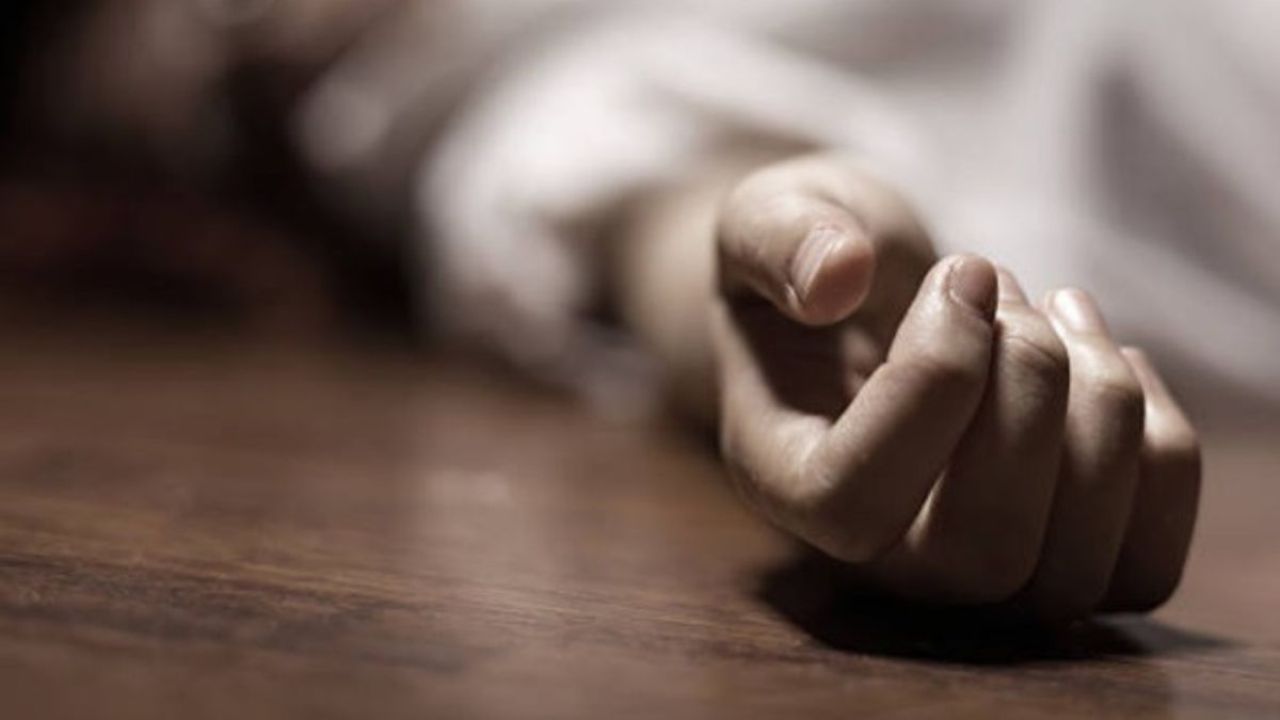 ত্রিশালে ট্রাকচাপায় পথচারী নিহত