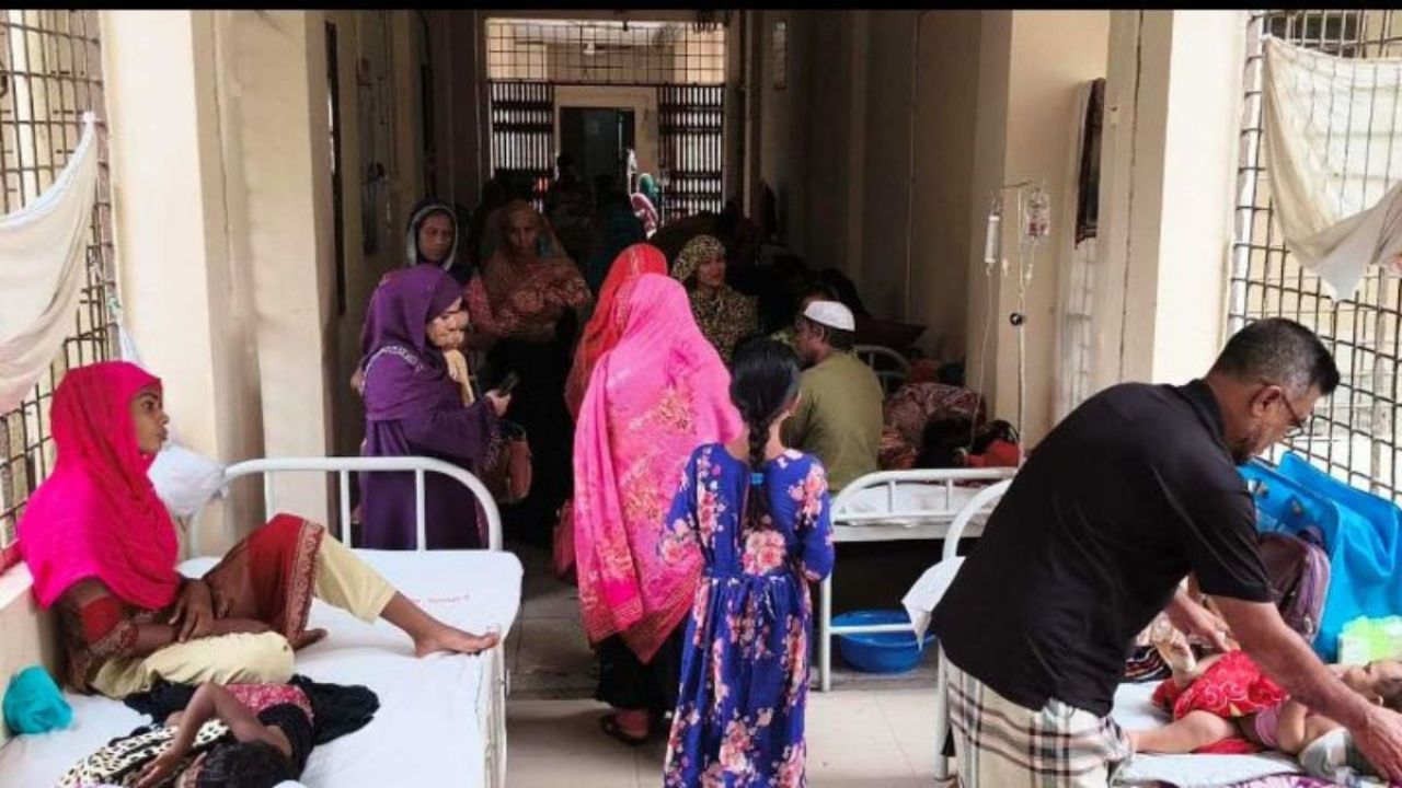 পিরোজপুরে ডেঙ্গুর ‘মরণকামড়’, আট মাসে আক্রান্ত ১৮৫৯