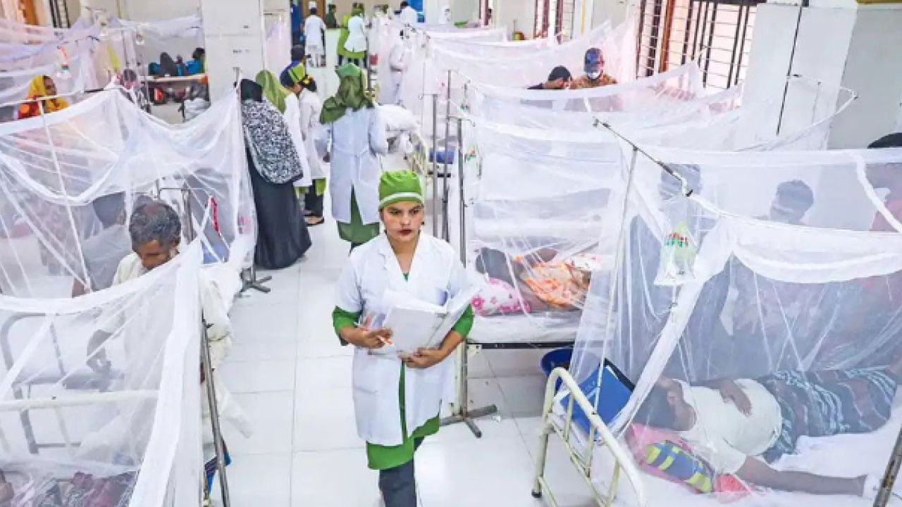ডেঙ্গুতে আরও ২ মৃত্যু, হাসপাতালে ৯৮৮