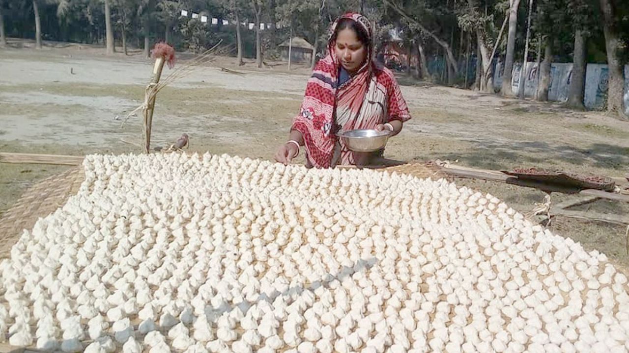 চিতলমারীতে কুমড়া বড়িতে ভাগ্য বদলাচ্ছেন নারীরা