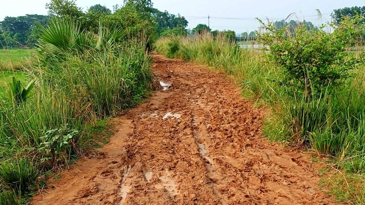 ঘাটাইলে এক কিলোমিটার সড়কে চরম দুর্ভোগ