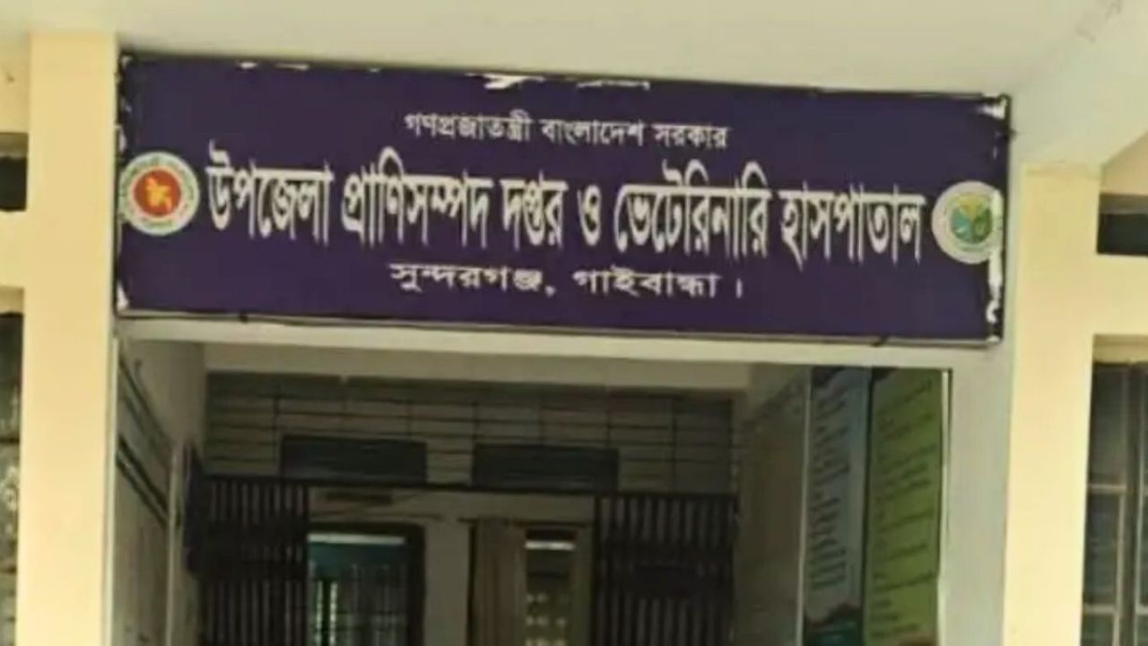 সুন্দরগঞ্জে আবারও অ্যানথ্রাক্স আতঙ্ক, আক্রান্ত ৫