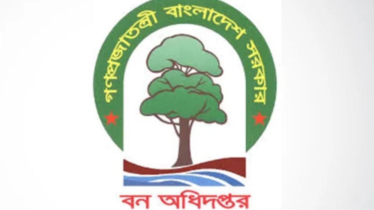 সুন্দরবনের অভয়ারণ্যে মাছ ধরার অভিযোগে সাত জেলে আটক