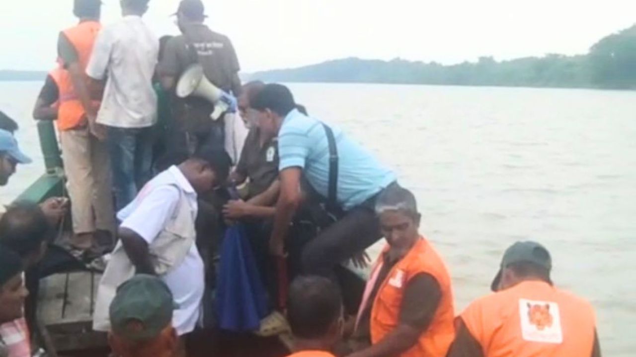 সুন্দরবনে বাঘের হানা, উদ্ধার অভিযান ৪ ঘণ্টা