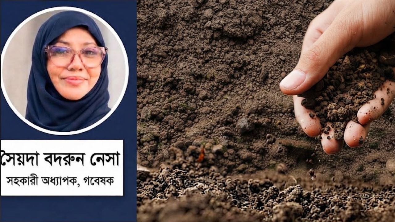 সারের দেশে ক্ষুধার্ত মাটি
