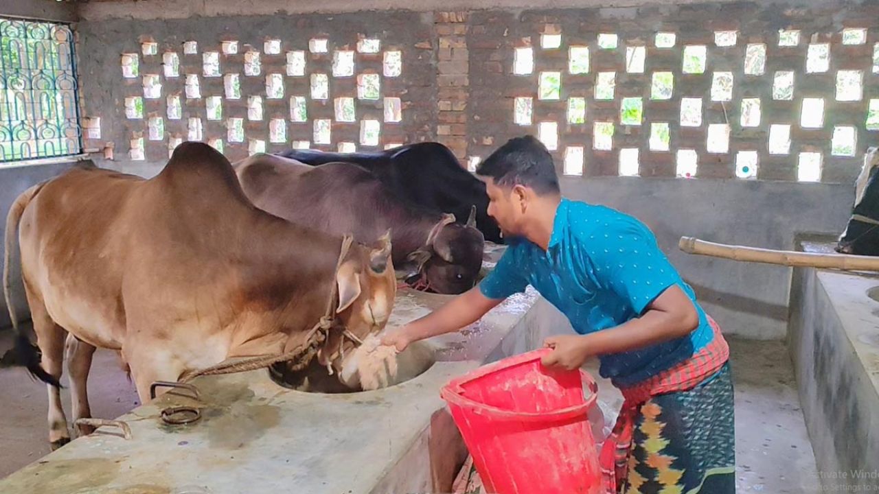জনস্বাস্থ্য সুরক্ষায় চাই খামারভিত্তিক কৌশল