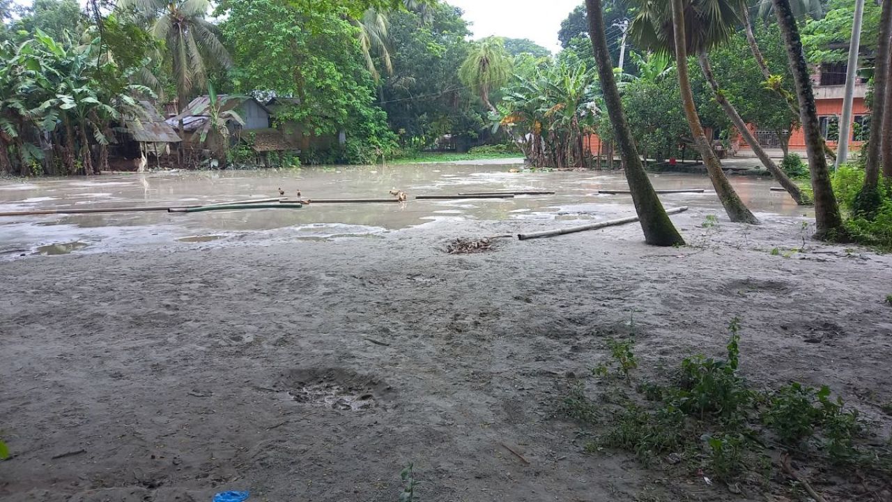 সরকারি স্কুলের পুকুর ভরাটের অভিযোগ চেয়ারম্যানের বিরুদ্ধে