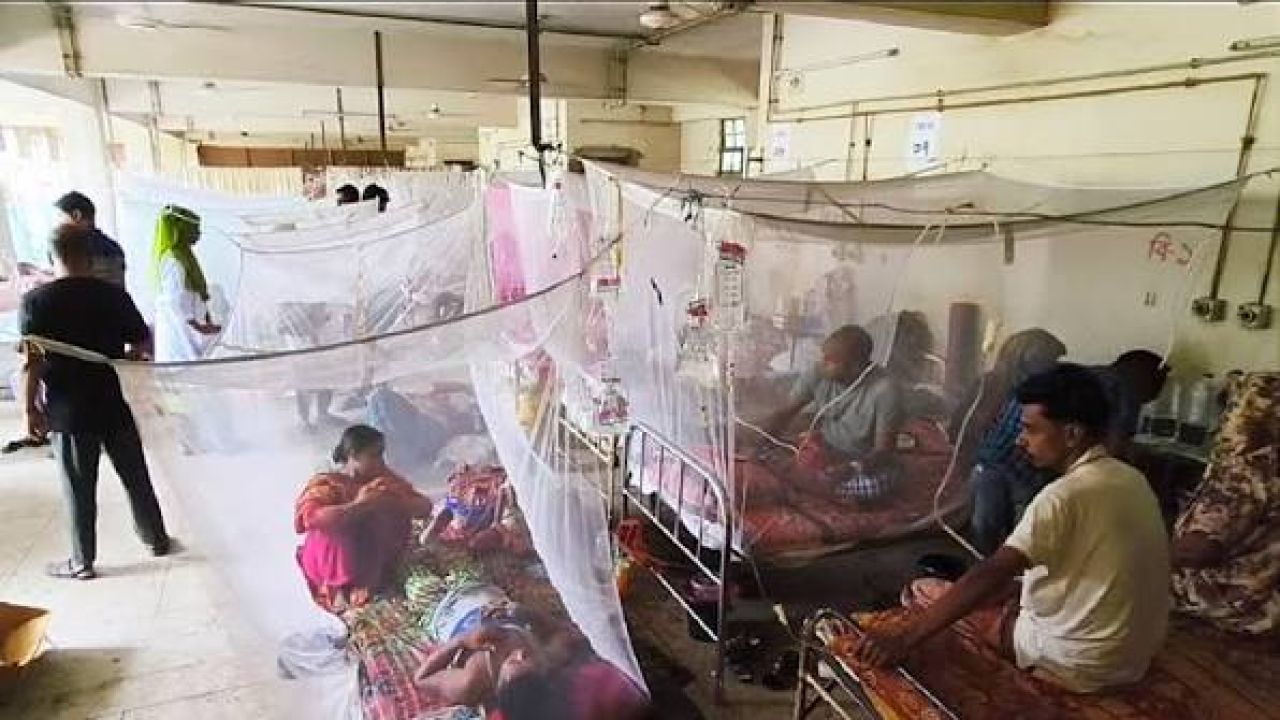 ডেঙ্গু: একদিনে রেকর্ড ১৭৩৩ রোগী হাসপাতালে, প্রাণহানি আরও ৮ জনের