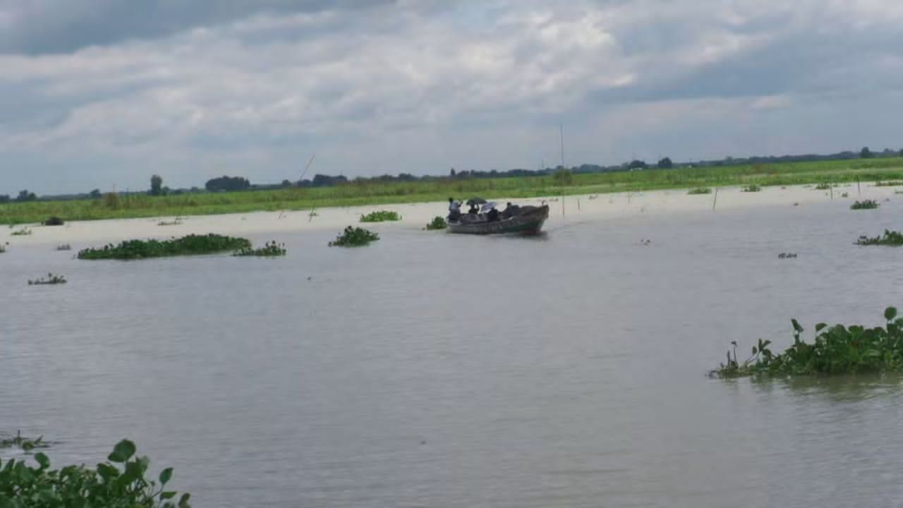 পদ্মাপাড়ে ভেসে উঠল ইট-ব্লকে বাঁধা নারীর লাশ