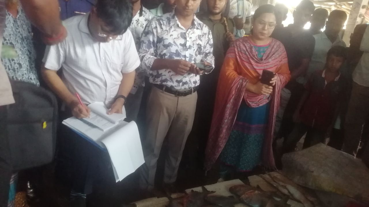 ডোমারে নিষিদ্ধ পিরানহা মাছ বিক্রি