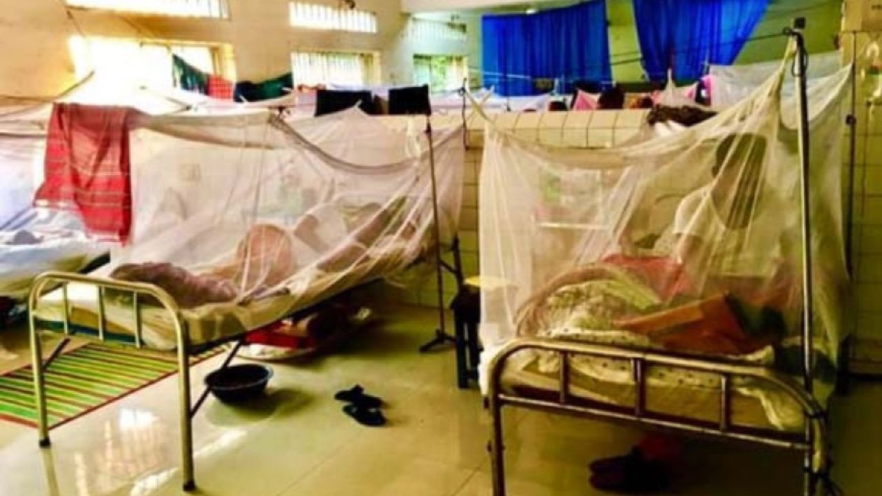 ডেঙ্গুর থাবায় থমকে যাচ্ছে গোটা যশোর