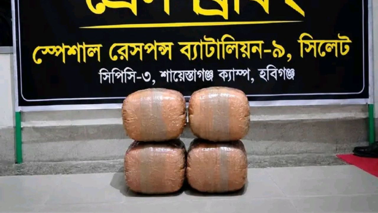 চুনারুঘাটে ২০ কেজি গাঁজাসহ আটক ২