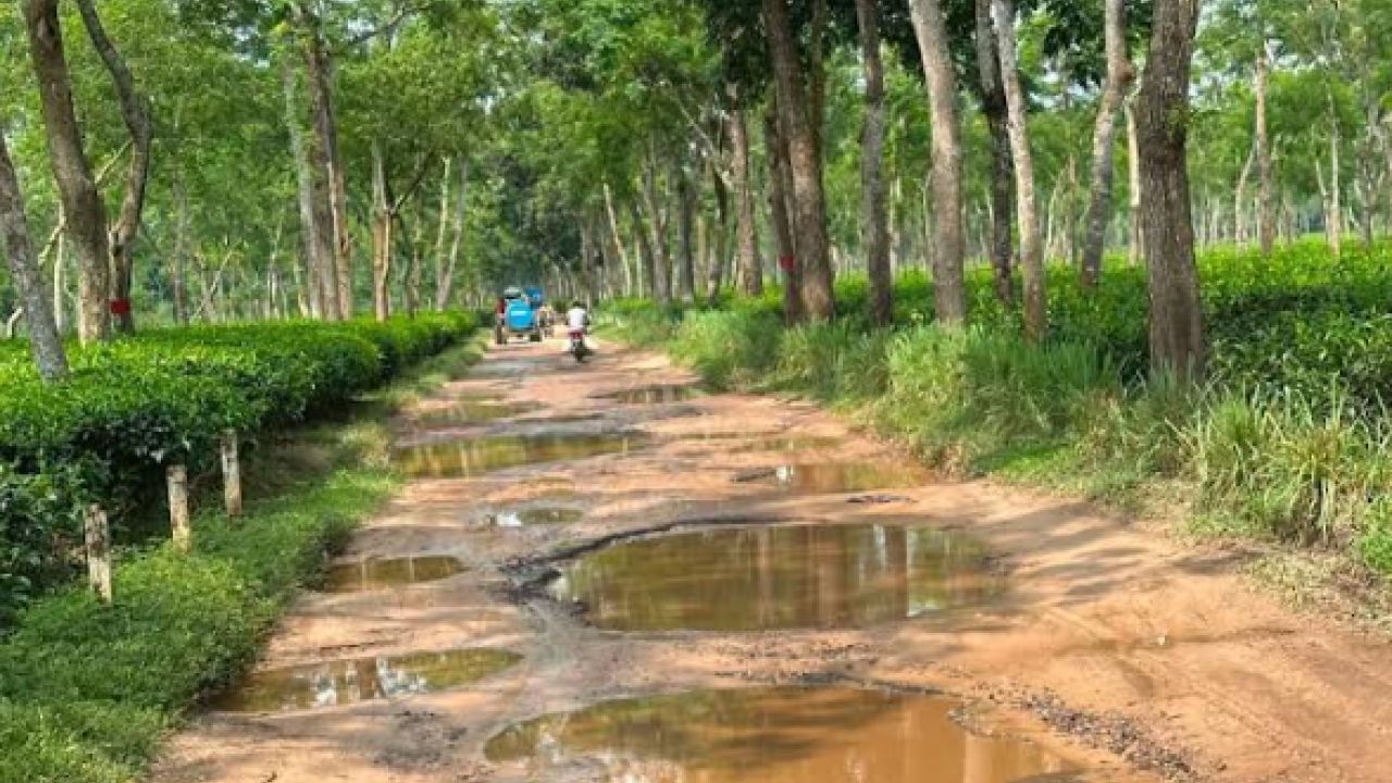 চায়ের রাজধানীতে খানাখন্দে ভরা সড়ক