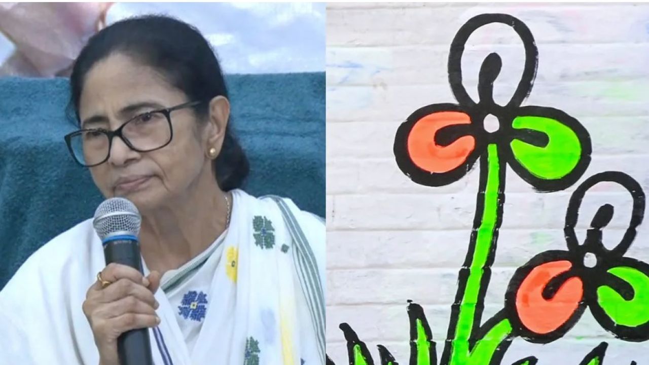 জোড়াফুলের অধিকার কার, উপ-নির্বাচনের মুখে সুপ্রিম কোর্টের দরবারে মমতা