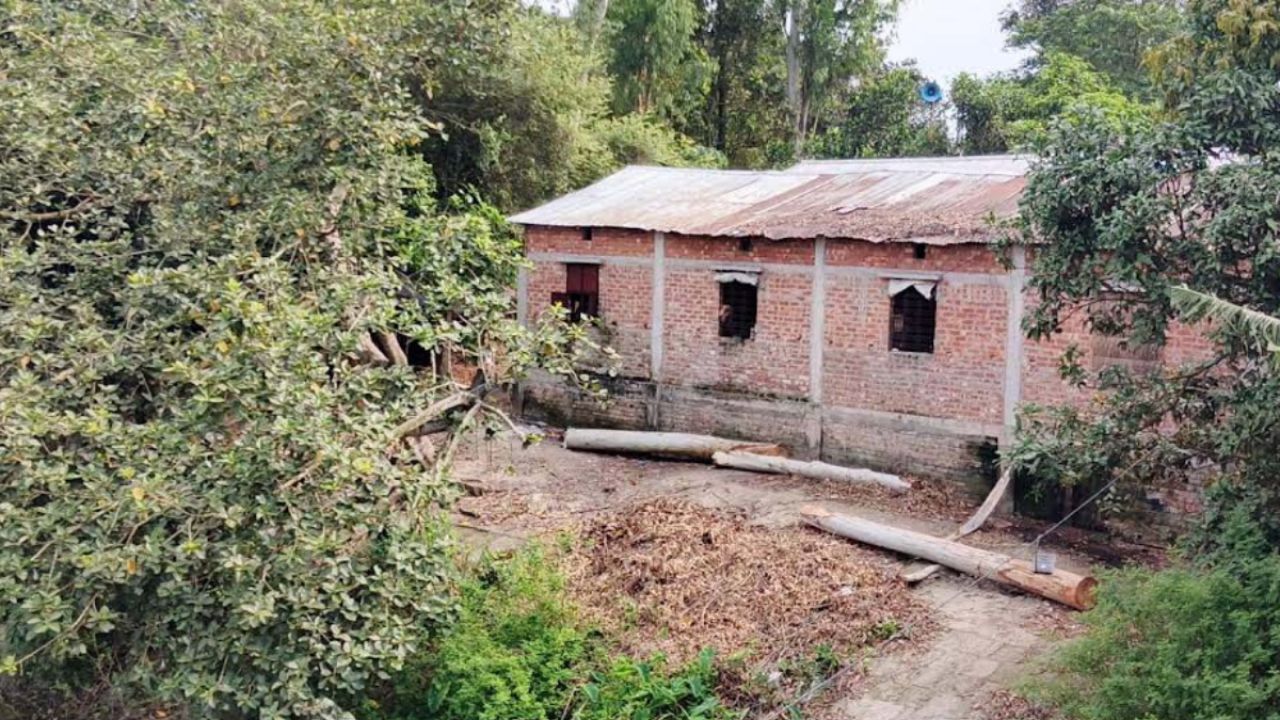 গাছ কেটে খাস জমিতে দোকান ও পাকা ঘর