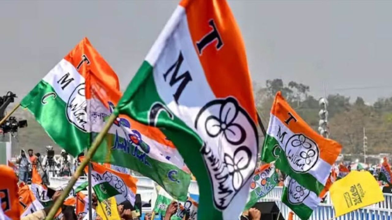 ঘাসফুল প্রতীকে নিষেধাজ্ঞা, লোকসানে পতাকা প্রস্তুতকারীরা