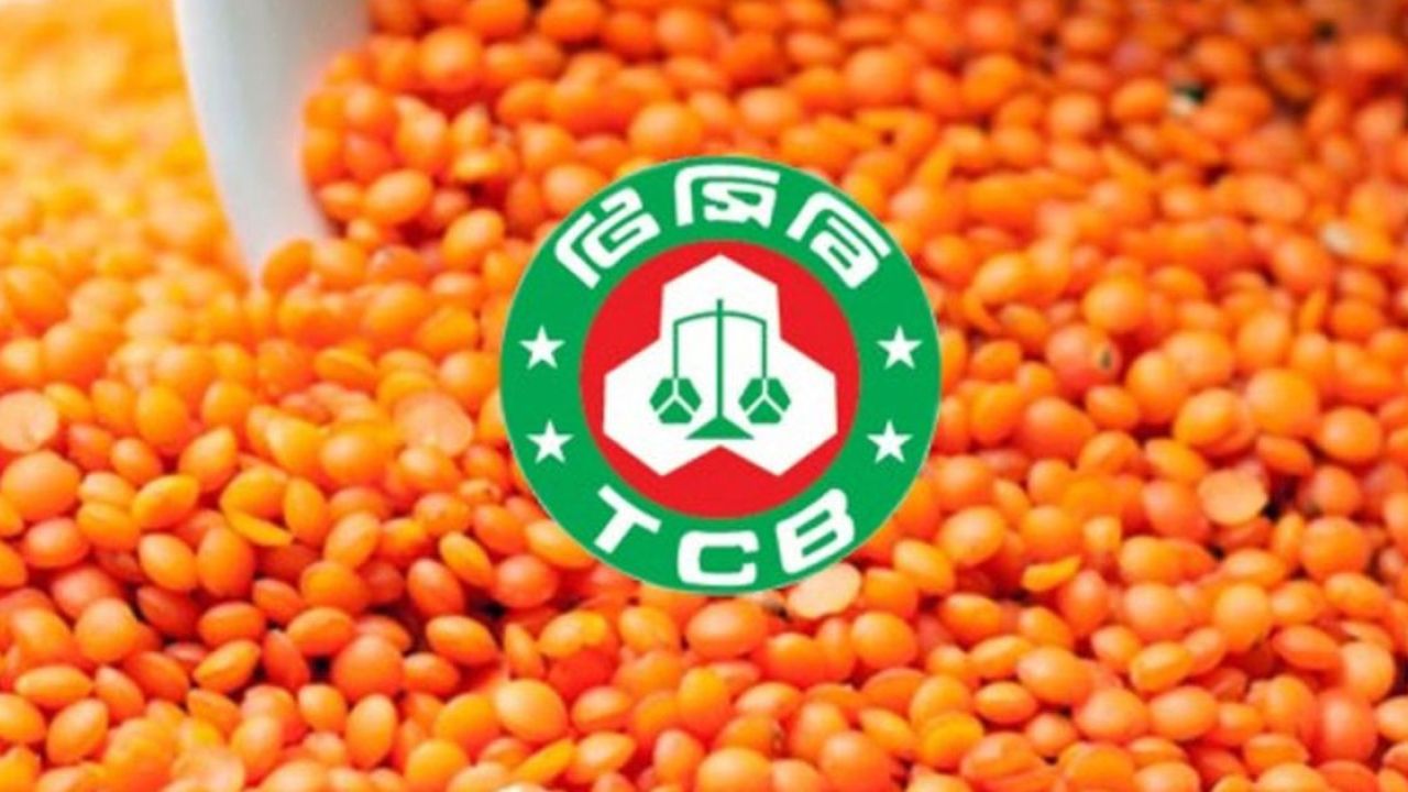 টিসিবির জন্য ১০ হাজার টন মসুর ডাল কিনবে সরকার