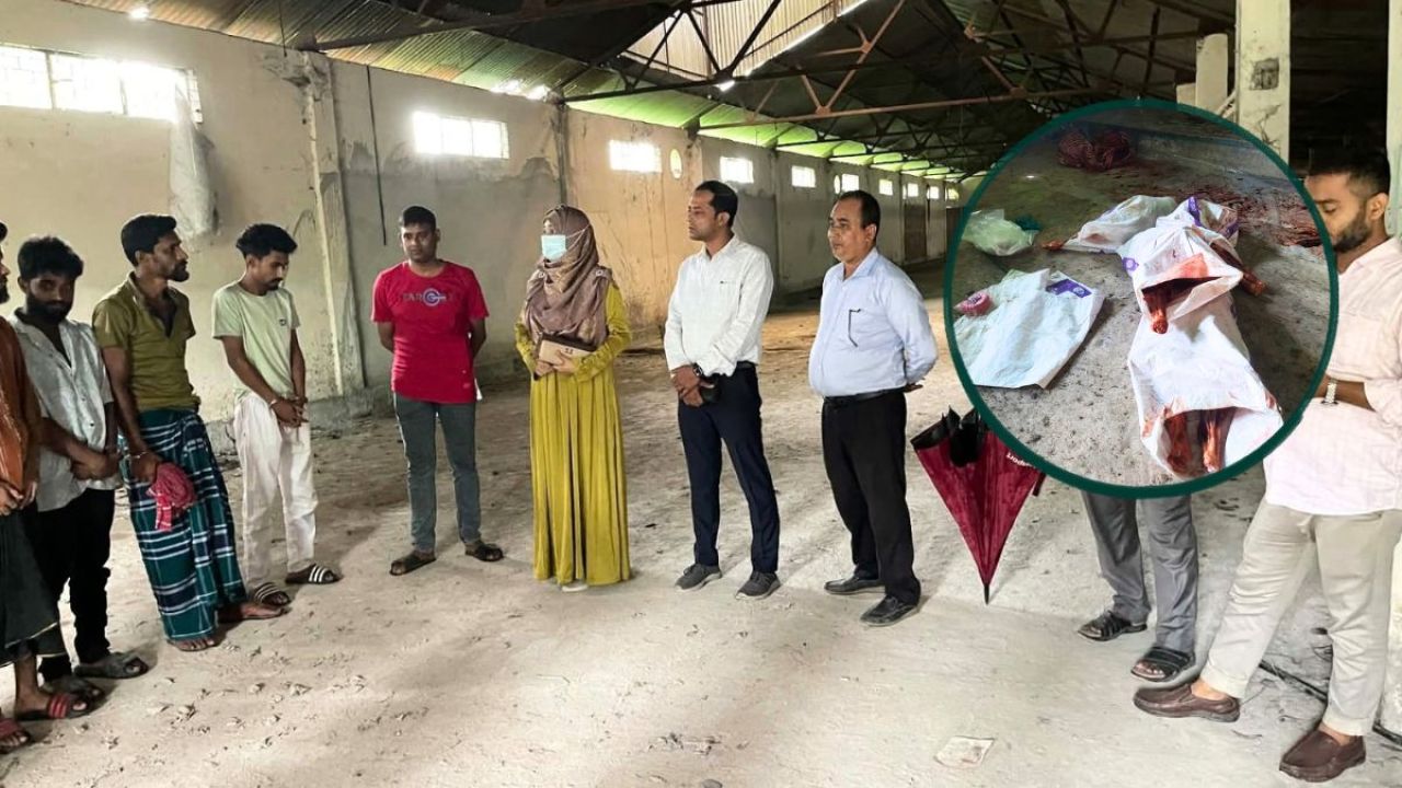 গোপন আস্তানায় ১৩ ঘোড়া জবাই, ৯ জনের সাজা