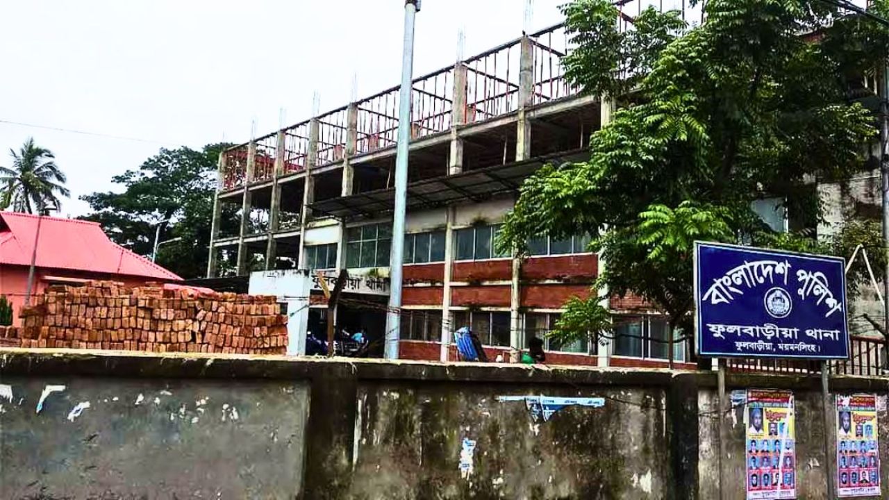 ভীমরুলের কামড়ে নানি-নাতনির মৃত্যু