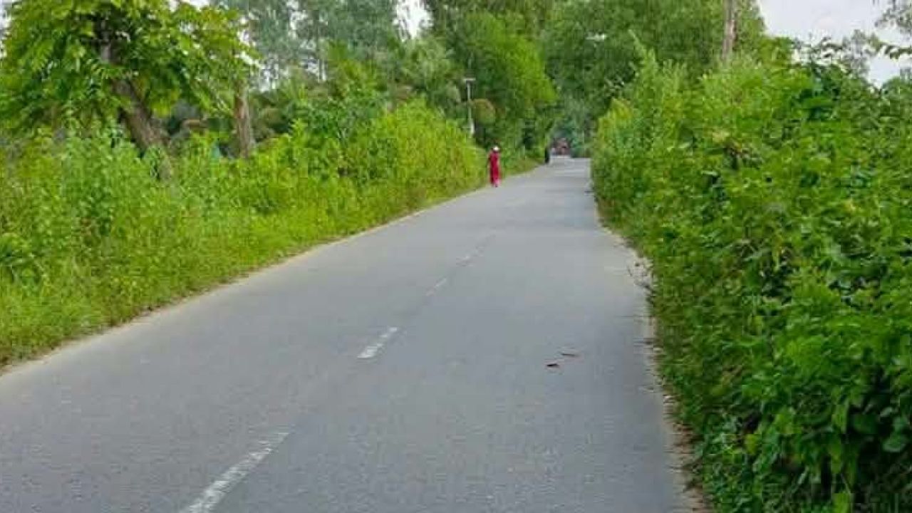 ঝোপঝাড়ে ঢেকেছে সড়ক, সাটিয়াজুরীতে বাড়ছে দুর্ঘটনা