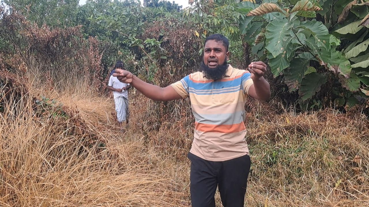 চাঁদপুরে নার্সারির ফলজ গাছ বিষ দিয়ে পুড়িয়ে দেওয়ার অভিযোগ