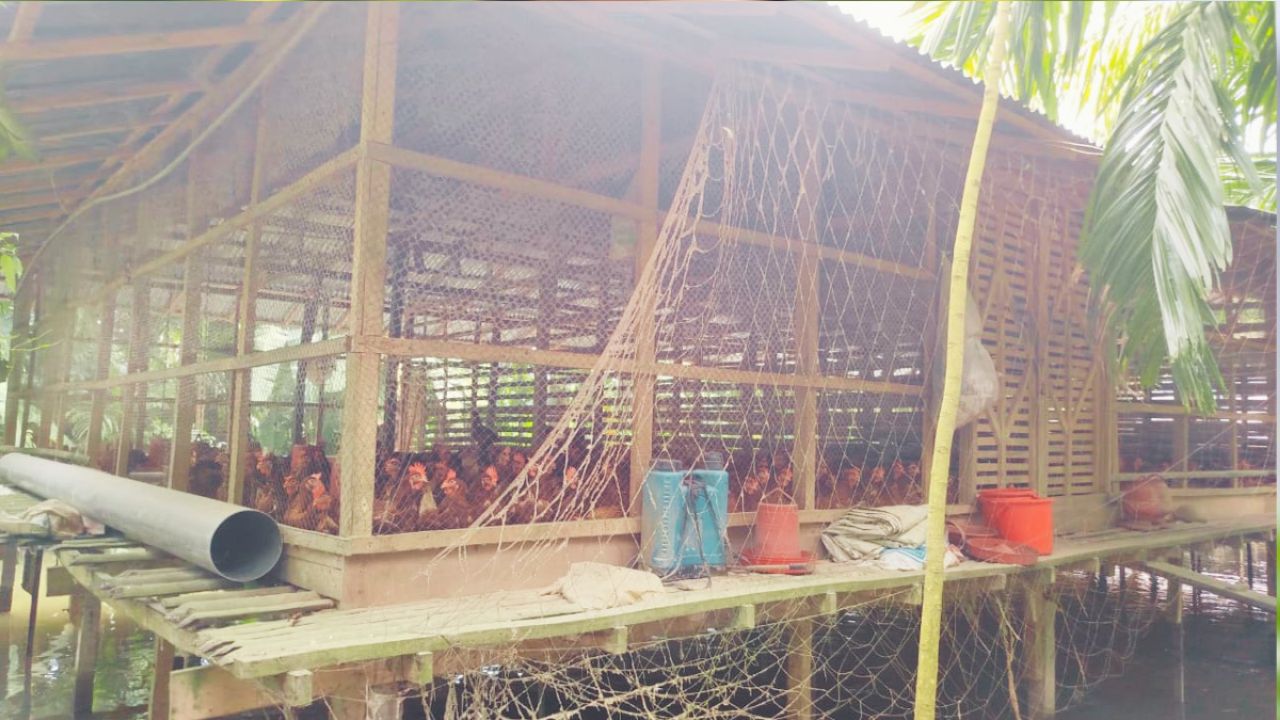 ১৫ হাজারে পুনর্বহাল অবৈধ বিদ্যুৎ সংযোগ 