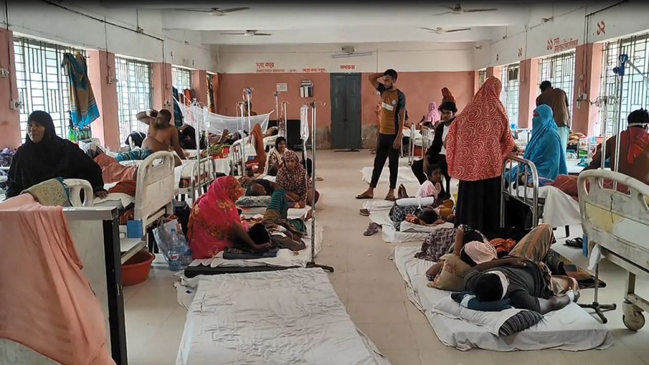 শার্শায় এক সপ্তাহে শিশুসহ ২২ জন ডেঙ্গু আক্রান্ত, হাসপাতালে ভোগান্তি