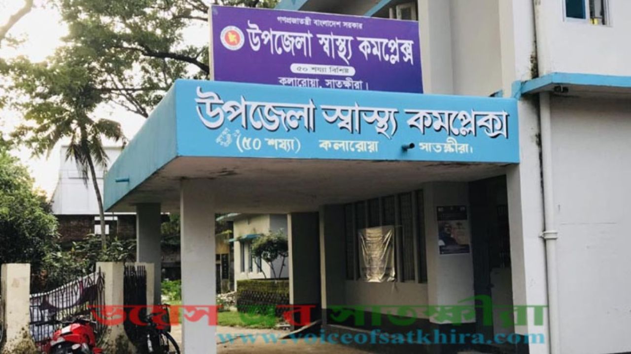 কলারোয়ায় এক কুকুরের কামড়ে শিশুসহ ২৪ জন আহত