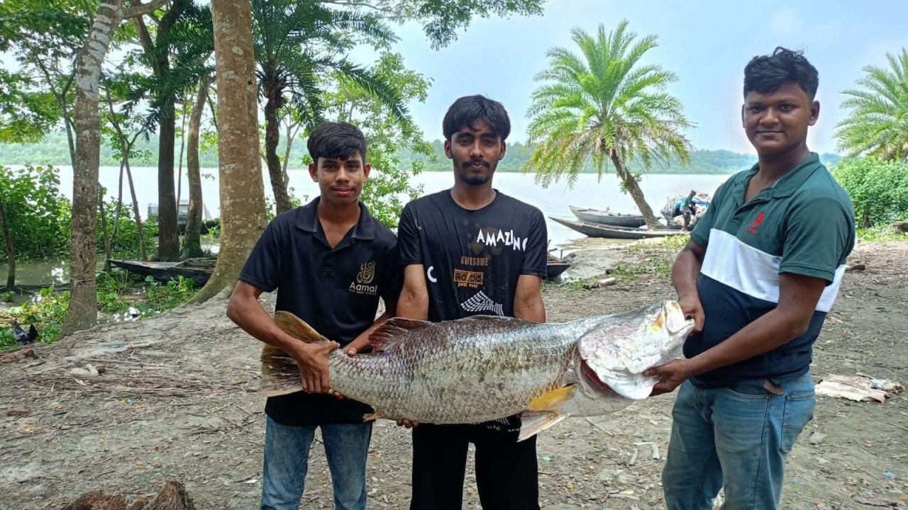 সুন্দরবনে মিলল ২০ কেজির কোরাল, বিক্রি ৩৬ হাজারে