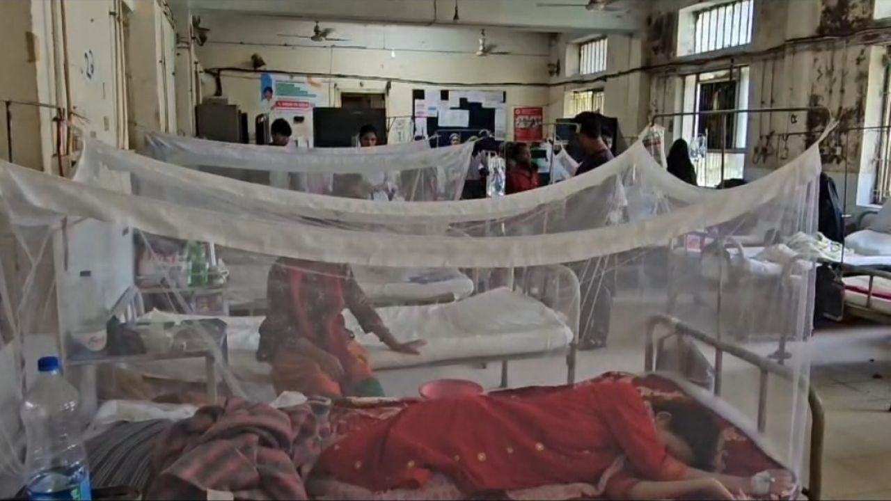 বান্দরবানে উদ্বেগজনক হারে বাড়ছে ডেঙ্গু রোগী, ২৪ ঘণ্টায় আক্রান্ত ৩৫