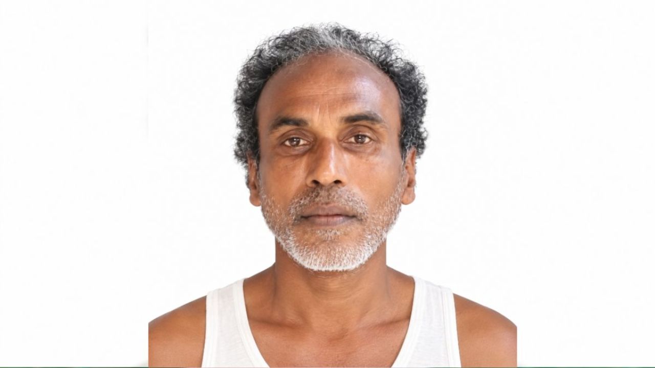 সখিপুরে ট্রাকের চাপায় অটোভ্যানচালক নিহত