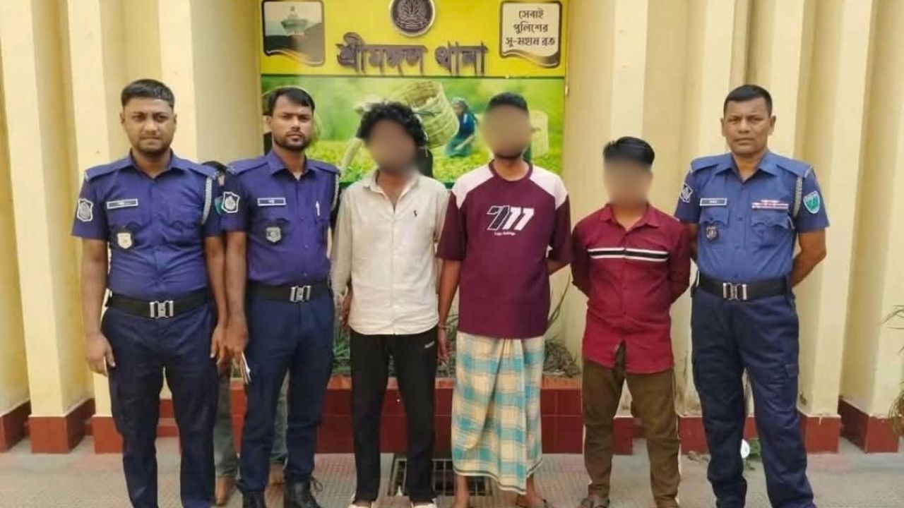 শ্রীমঙ্গলে কিশোরীকে অপহরণের পর ‘রাতভর গণধর্ষণ’, গ্রেপ্তার ৩