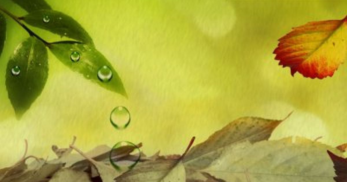 সরকারি কর্মচারীর সামাজিক দায় ও প্রচেষ্টা