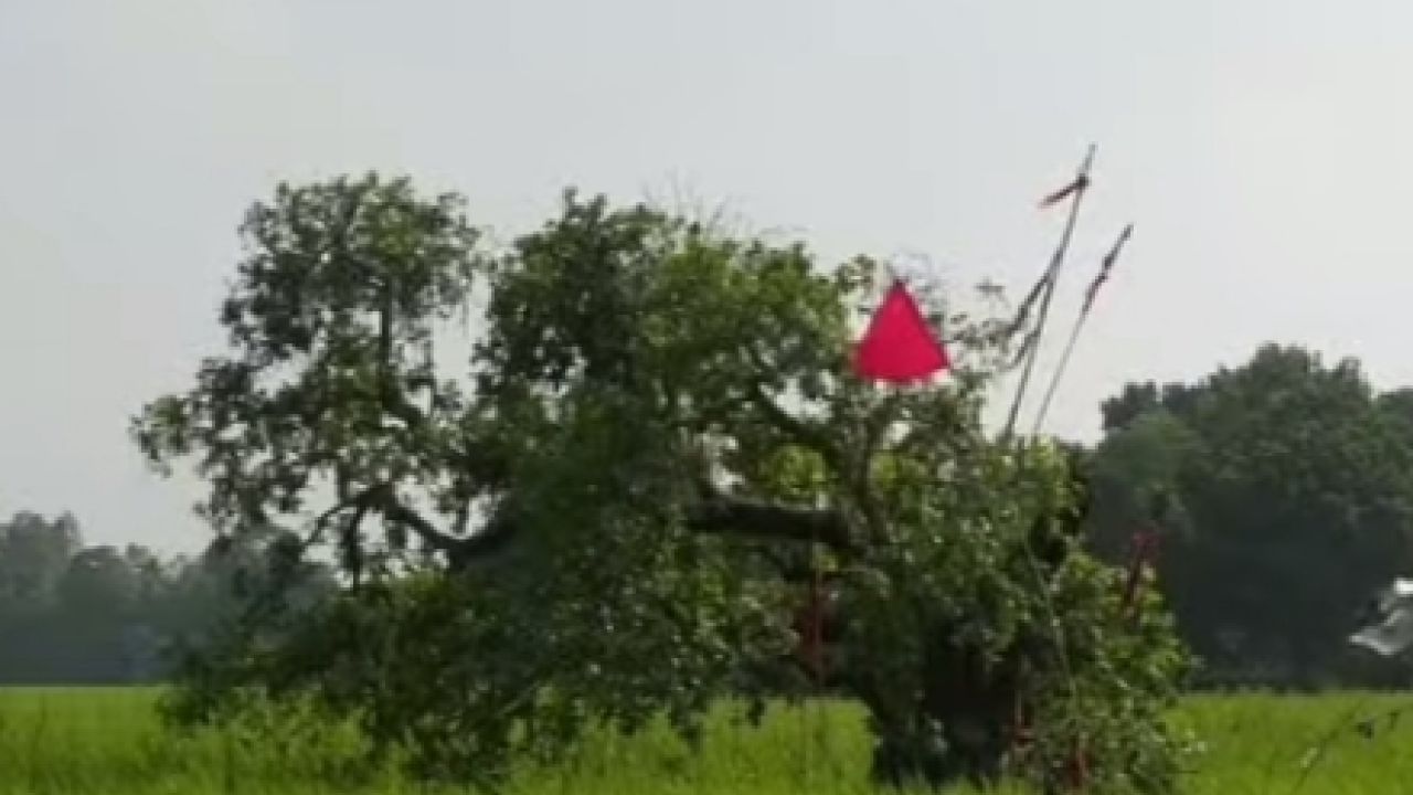 রহস্যে ঘেরা শতবর্ষী ‘চালানি’ হিজল গাছ, দেখতে মানুষের ঢল