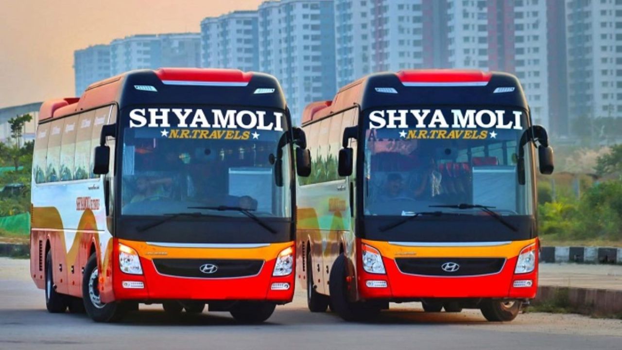 কুষ্টিয়ায় বাসের চাপায় নারীসহ দুই পাখিভ্যান আরোহী নিহত, আহত ১