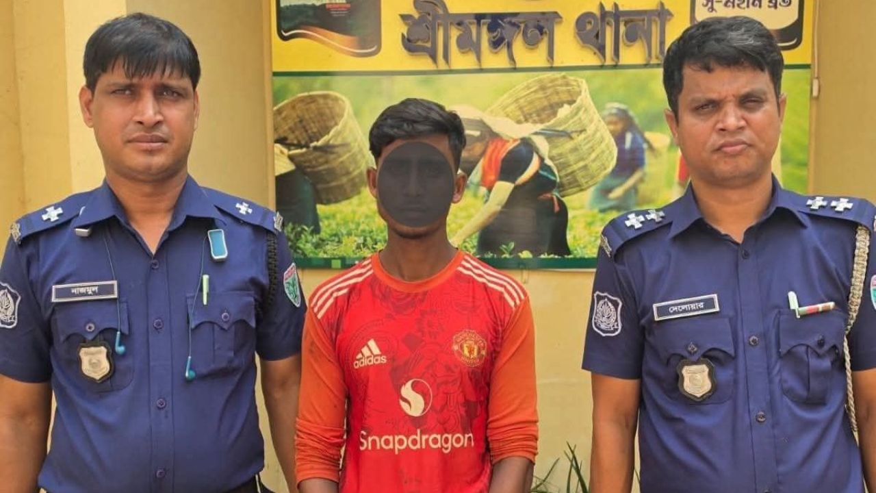 শ্রীমঙ্গলে চুরির কয়েক ঘণ্টার মধ্যে ষাঁড় উদ্ধার, গ্রেপ্তার ১
