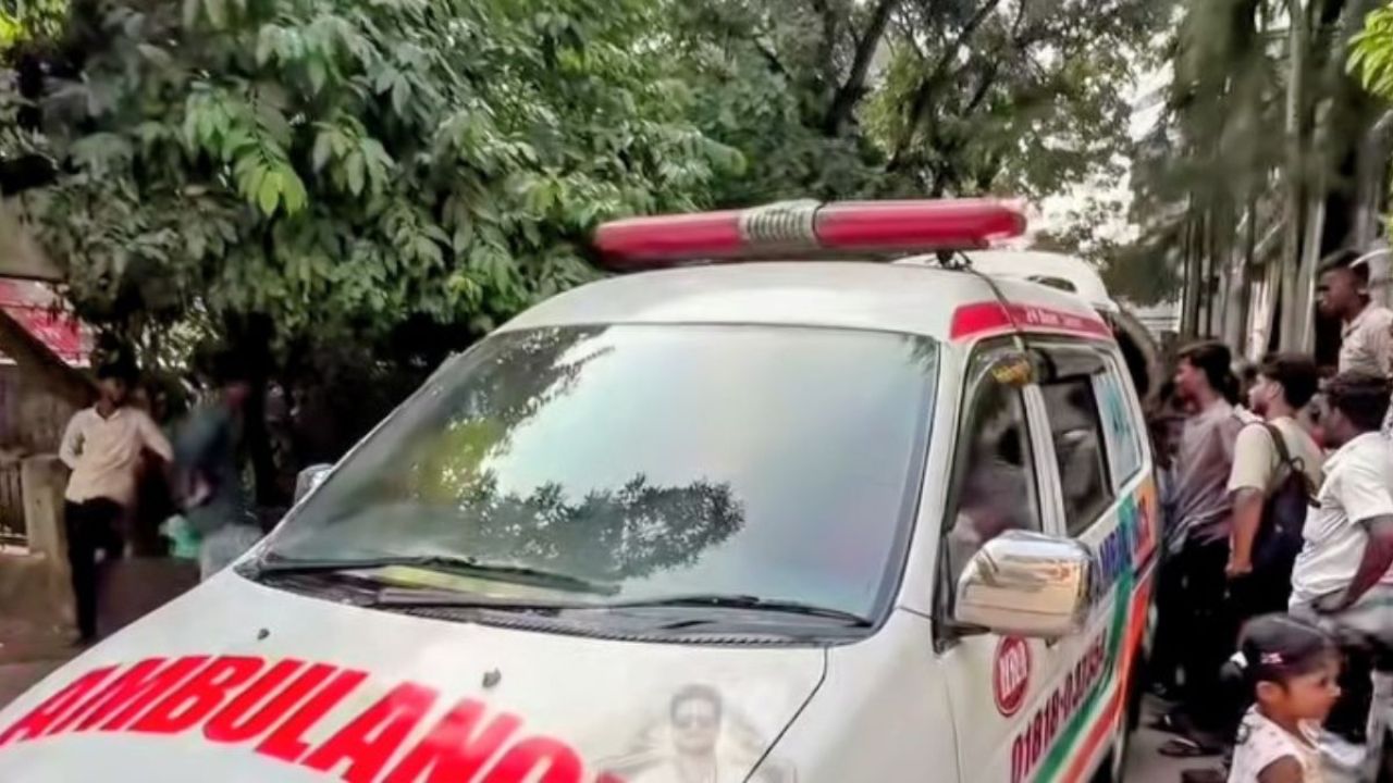 ৩৩ হাজার ভোল্টের তারে স্পৃষ্ট হয়ে ঝলসে গেল দুই শিশু